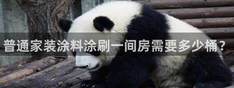和记港口：普通家装涂料涂刷一间房需要多少桶？