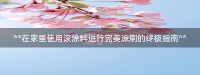 和记港口：**在家里使用滚涂料进行完美涂刷的终极指南**