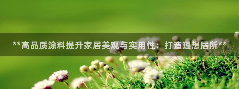 和记(福建)商贸有限公司：**高品质涂料提升家居美观与实用性：打造理想居所**