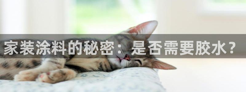 和记AG网站：家装涂料的秘密：是否需要胶水？