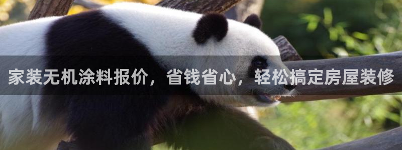和记h88最新客户端下载：家装无机涂料报价，省钱省心，轻松搞定房屋装修