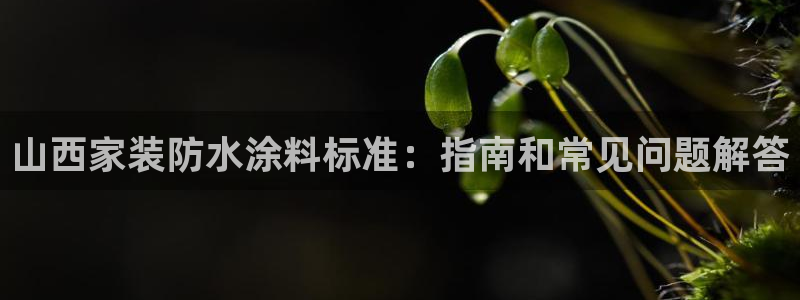 下载和记app
