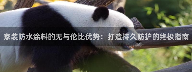 和记h88最新客户端下载：家装防水涂料的无与伦比优势：打造持久防护的终极指南