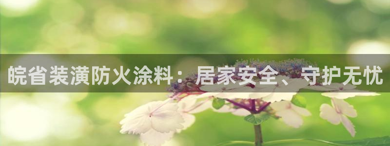 和记国际开户：皖省装潢防火涂料：居家安全、守护无忧