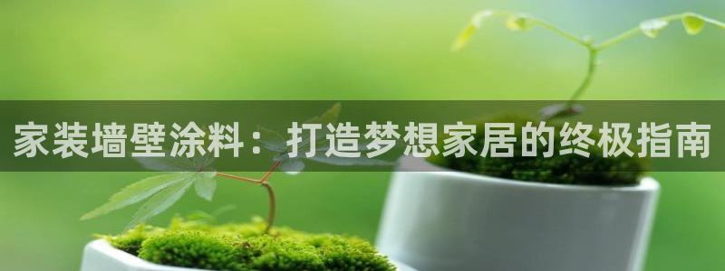 和记AG：家装墙壁涂料：打造梦想家居的终极指南