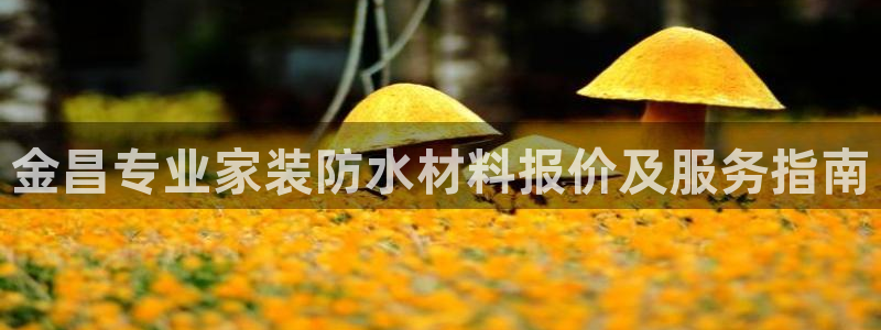 和记注册有什么送的