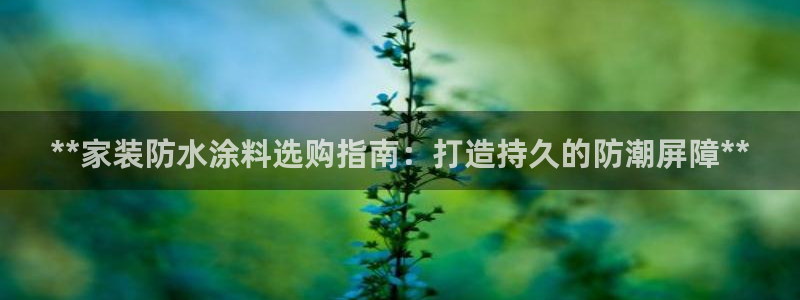 和记官网：**家装防水涂料选购指南：打造持久的防潮屏障**