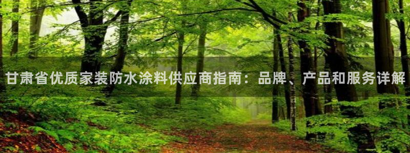 和记国际：甘肃省优质家装防水涂料供应商指南：品牌、产品和服务详解