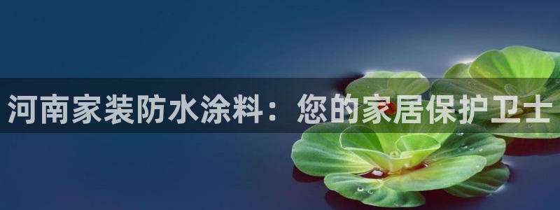 和记官网 公司：河南家装防水涂料：您的家居保护卫士