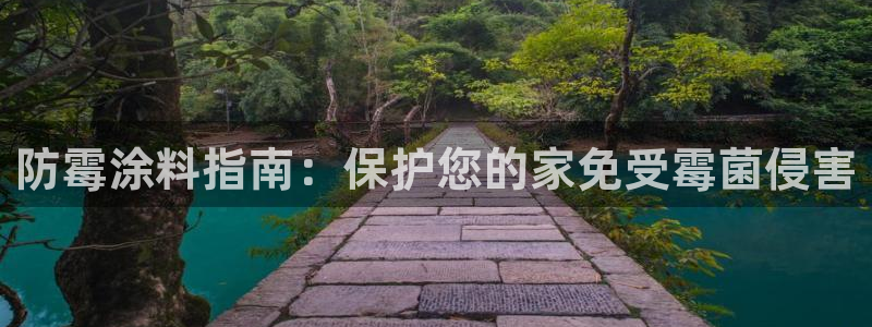 和记5g电讯：防霉涂料指南：保护您的家免受霉菌侵害