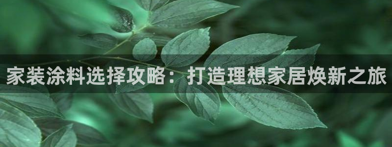 下载和记app：家装涂料选择攻略：打造理想家居焕新之旅