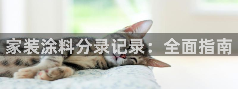 青岛大生和记餐饮管理有限公司：家装涂料分录记录：全面指南