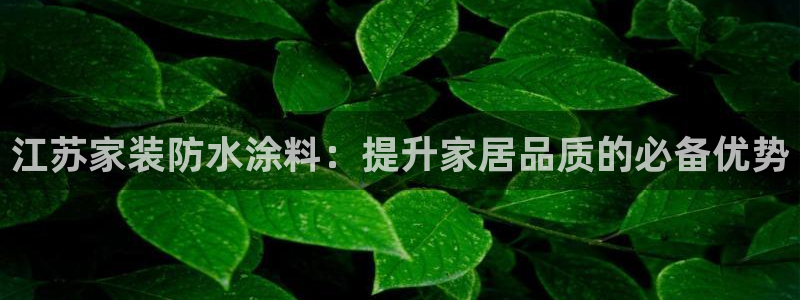 和记H88：江苏家装防水涂料：提升家居品质的必备优势