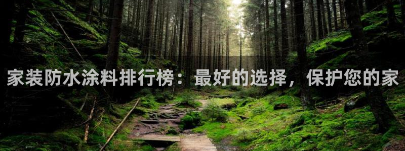 和记下载：家装防水涂料排行榜：最好的选择，保护您的家