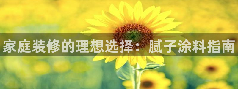 和记hj