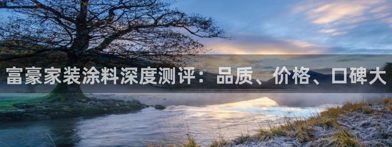 和记官方直营注册：富豪家装涂料深度测评：品质、价格、口碑大