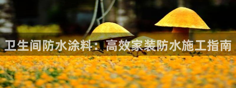 和记网页：卫生间防水涂料：高效家装防水施工指南