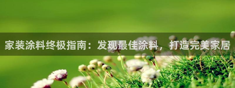 青岛大生和记餐饮管理有限公司：家装涂料终极指南：发现最佳涂料，打造完美家居