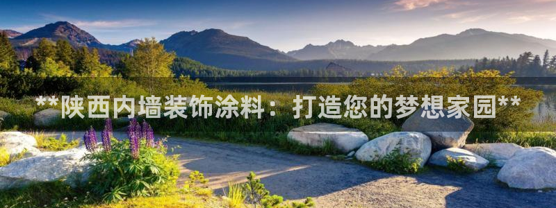 和记官网 公司：**陕西内墙装饰涂料：打造您的梦想家园**