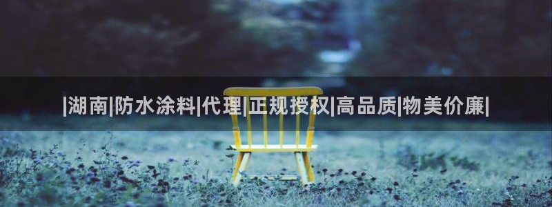 和记国际听