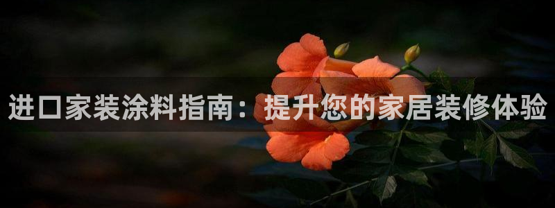 和记官方平台：进口家装涂料指南：提升您的家居装修体验
