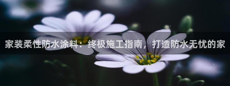 江苏和记数码科技有限公司：家装柔性防水涂料：终极施工指南，打造防水无忧的家