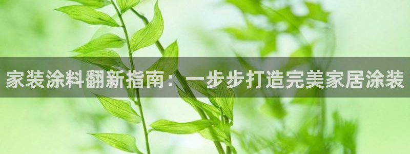 和记平台官方网：家装涂料翻新指南：一步步打造完美家居涂装