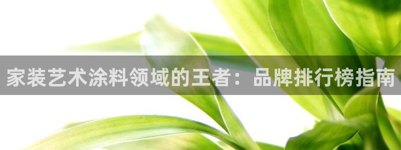 和记2017app：家装艺术涂料领域的王者：品牌排行榜指南