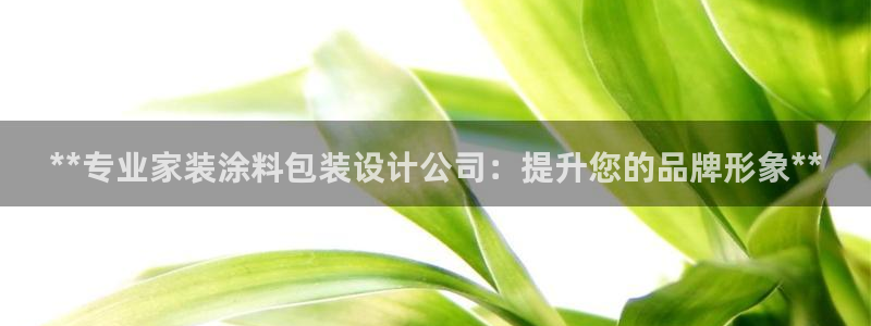 和记ag旗舰国际：**专业家装涂料包装设计公司：提升您的品牌形象**