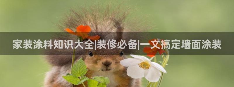 和记下载：家装涂料知识大全|装修必备|一文搞定墙面涂装