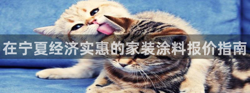 和记官网官方网站：在宁夏经济实惠的家装涂料报价指南