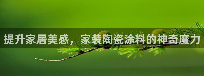 和记ag旗舰国际：提升家居美感，家装陶瓷涂料的神奇魔力