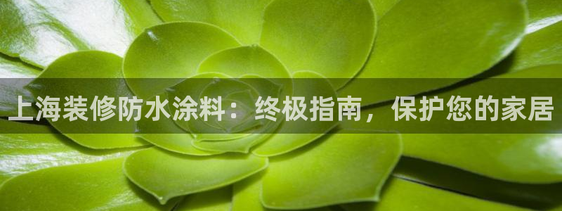 和记h88游戏