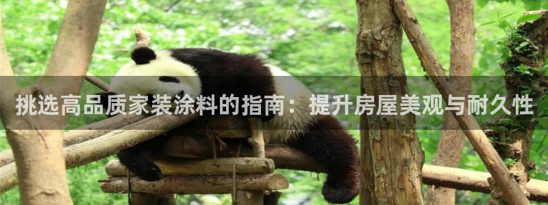 和记官方网址：挑选高品质家装涂料的指南：提升房屋美观与耐久性