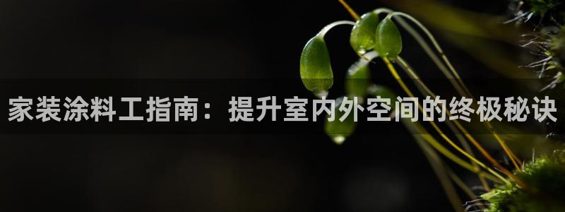 和记电业集团