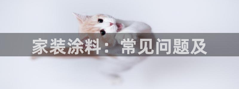 和记官方：家装涂料：常见问题及