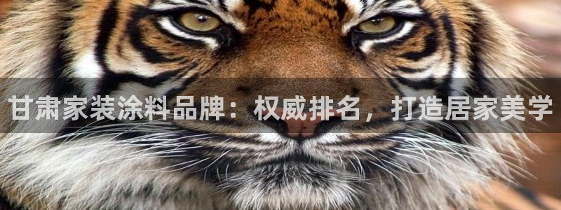 和记登陆：甘肃家装涂料品牌：权威排名，打造居家美学