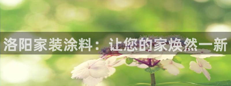 和记app官网登录：洛阳家装涂料：让您的家焕然一新