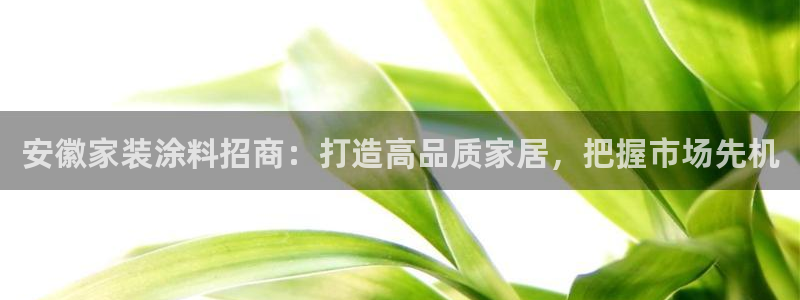和记AG网站：安徽家装涂料招商：打造高品质家居，把握市场先机