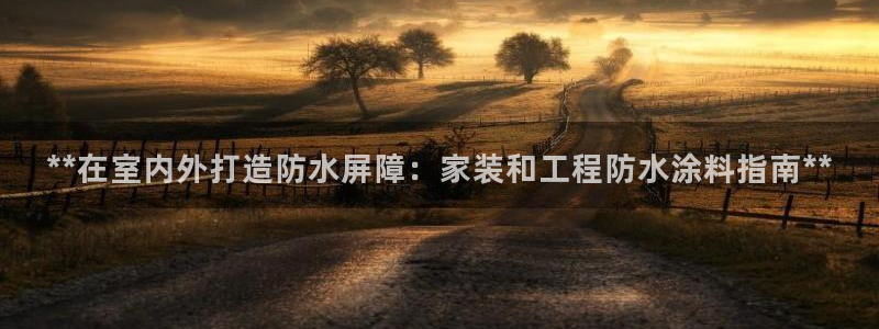 和记国际官网官网：**在室内外打造防水屏障：家装和工程防水涂