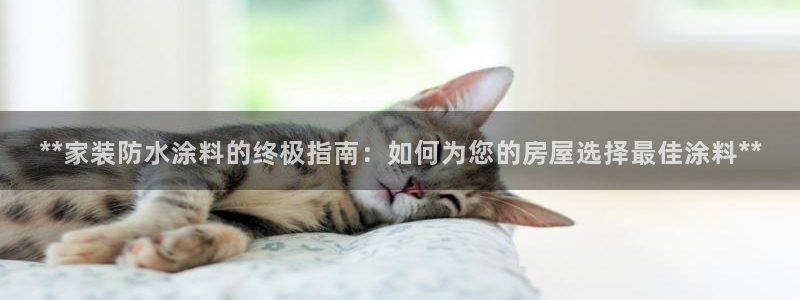和记官网首页：**家装防水涂料的终极指南：如何为您的房屋选择最佳涂料**