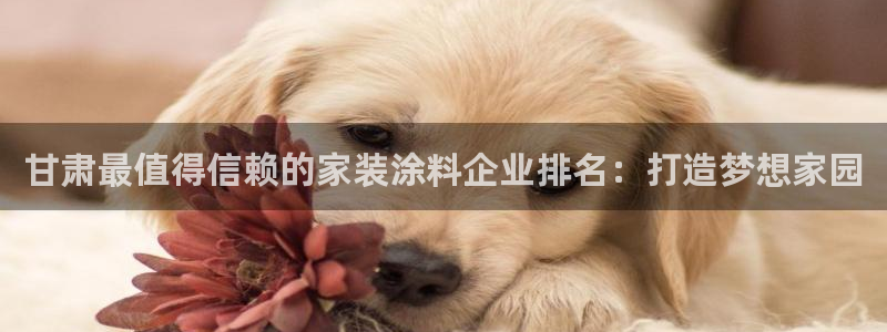和记国际开户：甘肃最值得信赖的家装涂料企业排名：打造梦想家园