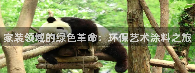 和记官网 公司：家装领域的绿色革命：环保艺术涂料之旅