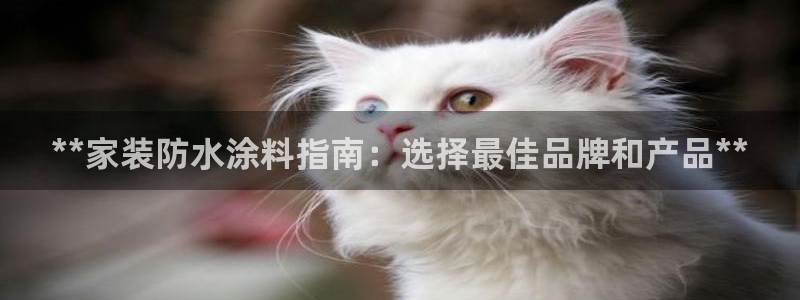 和记官方：**家装防水涂料指南：选择最佳品牌和产品**