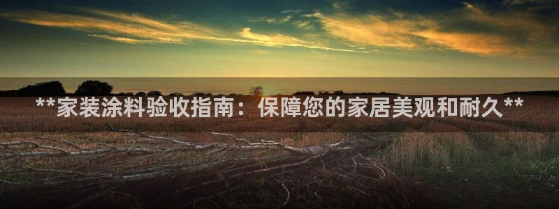 和记ag网址：**家装涂料验收指南：保障您的家居美观和耐久**
