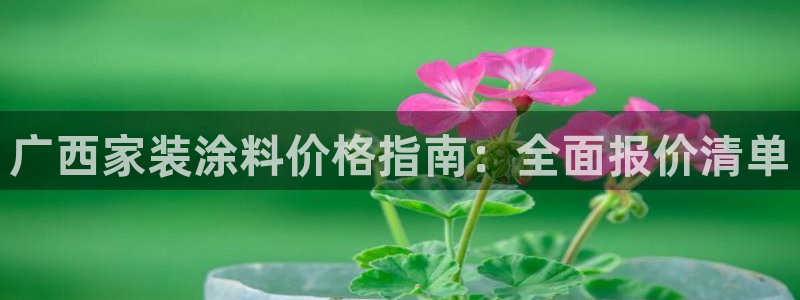 和记旗舰厅：广西家装涂料价格指南：全面报价清单