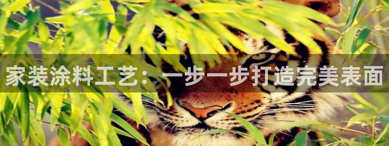 和记平台登陆：家装涂料工艺：一步一步打造完美表面