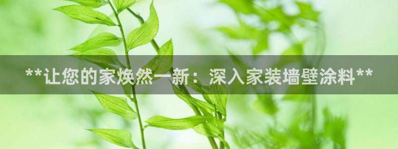 和记国际听：**让您的家焕然一新：深入家装墙壁涂料**