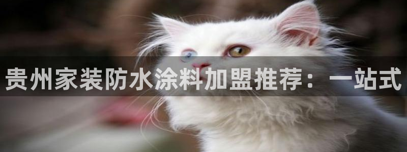 和记国际开户：贵州家装防水涂料加盟推荐：一站式