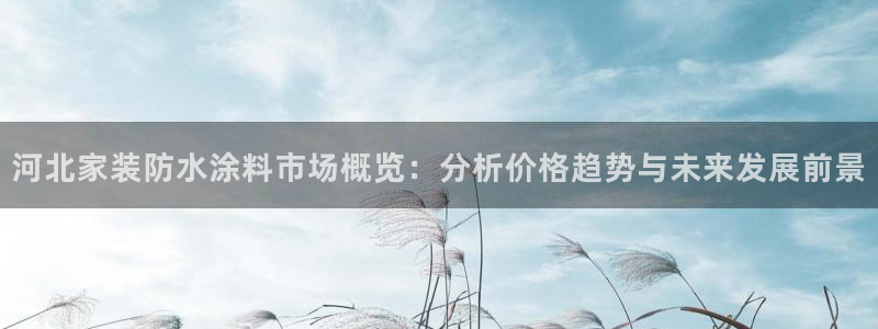 和记官方网址：河北家装防水涂料市场概览：分析价格趋势与未来发